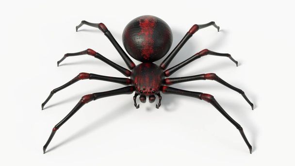 zwarte spin met rode huid details. geschikt voor horror, Halloween, arachnid en insecten thema 's. 3D illustratie met witte achtergrond. - Foto, afbeelding