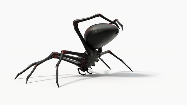 Araña negra preparándose para la fabricación de telas. adecuado para el horror, halloween, arácnidos e insectos temas. Ilustración 3D con fondo blanco. - Foto, Imagen