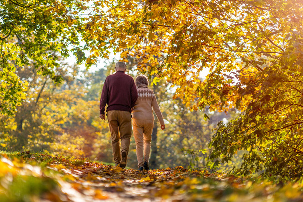 Ευτυχισμένο ζευγάρι ηλικιωμένων περνούν χρόνο μαζί στο όμορφο πάρκο της πόλης το φθινόπωρο - Φωτογραφία, εικόνα