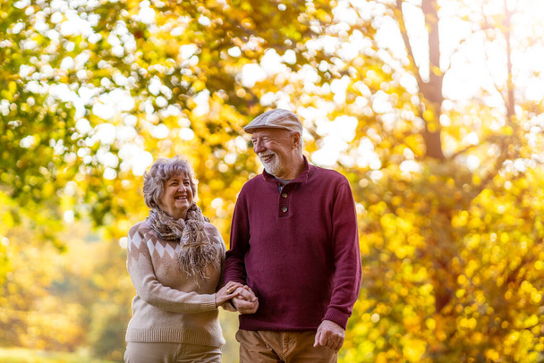 Happy senior couple spending time together in beautiful city park in autumn - Фото, зображення