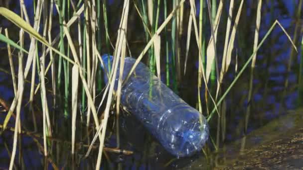 Botella de plástico en agua de agitación cerca de la costa. Concepto de contaminación - Imágenes, Vídeo