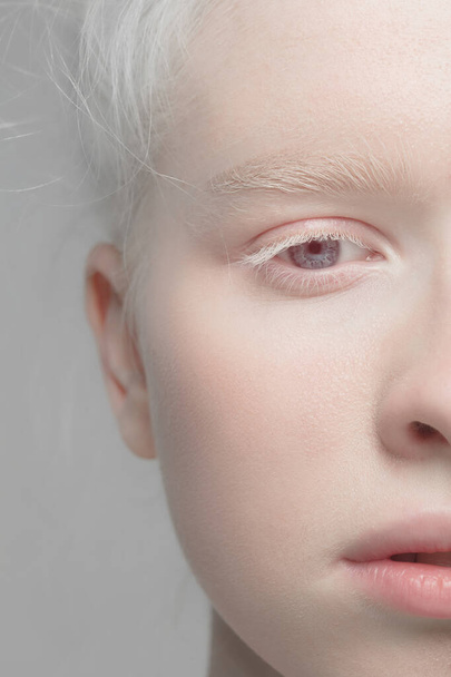 Close up portrait of beautiful albino woman isolated on studio background. Beauty, fashion, skincare, cosmetics concept. Details. - 写真・画像