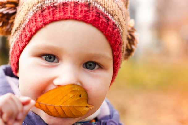 Beautiful baby portrait outdoor against autumn nature - Photo, Image