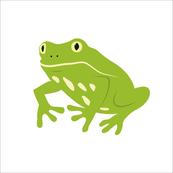 ikona żaba w stylu kreskówki izolowane na białym tle - Wektor, obraz