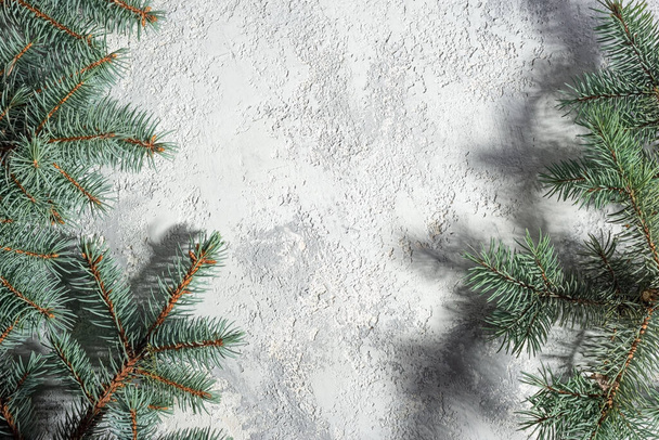 joulu valkoinen-harmaa tausta tekstuuri kuusen oksat ylhäältä näkymä joulun konsepti. oksilla sininen kuusi joulukoristeita harmaalla pohjalla - Valokuva, kuva