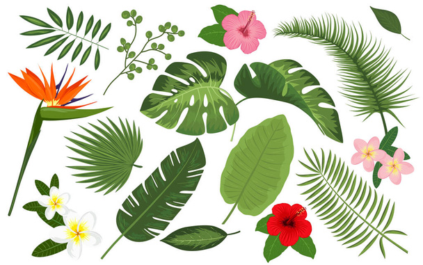 Tropische Vektorillustration mit Platz für Ihren Text. Exotische Pflanzen Hintergrund, Rahmendesign mit Blättern - Vektor, Bild