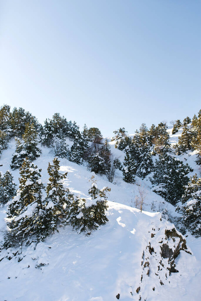 Όμορφο χειμερινό τοπίο των βουνών και των χειμερινών δασών σε ηλιόλουστο καθαρό καιρό - Φωτογραφία, εικόνα