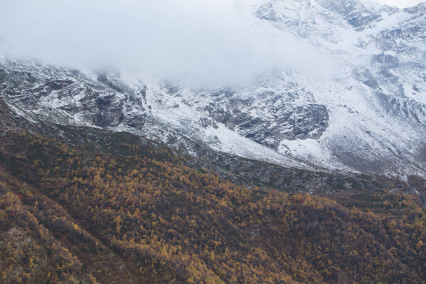 Golden autumn in the mountains. Yellow trees stand against the background of a snowy slope and clouds. - Fotó, kép