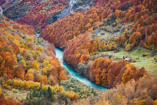 Όμορφη φθινοπωρινή θέα στα κίτρινα δέντρα και τον ποταμό Πίβα από τη Γέφυρα Ντουρντέβιτσα Τάρα, Μαυροβούνιο - Φωτογραφία, εικόνα