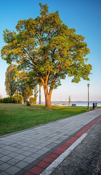 City park in the morning at lake Balaton - Zdjęcie, obraz