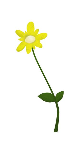 A vertical illustration of a yellow flower isolated on a white background - Foto, Bild