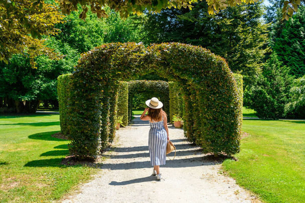 Parkta yürüyen şapkalı ve elbiseli genç bir kadının arka görüntüsü. - Fotoğraf, Görsel
