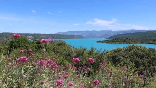 Bauduen, Franciaország - 2020. július 5.: A Szent Kereszt tava - Le lac de Sainte Croix Provence-ban - Felvétel, videó