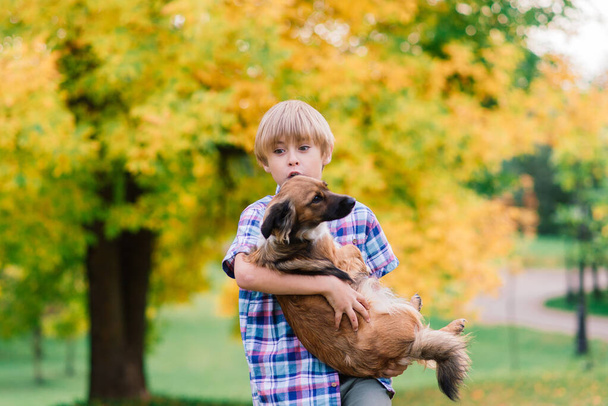 Lindo chico jugando y paseando con su perro en el prado. - Foto, imagen
