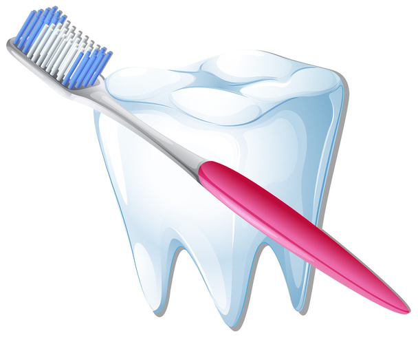 Uno spazzolino da denti e un dente
 - Vettoriali, immagini