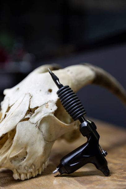 タトゥースタジオでヤギの頭蓋骨の入れ墨のマシンの閉鎖。テキストのスペース.  - 写真・画像