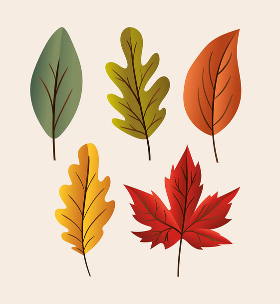 autumn leaves set icons vector design - Vector, Image