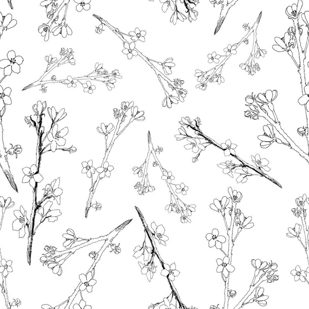 Realistic sakura blossom - Japanese cherry tree seamless pattern isolated on white background. Hand drawn blooming branch - Vector illustration - Vector, Imagen