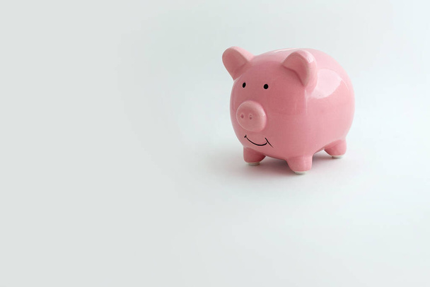 Piggy bank in the shape of a pig on an isolated white background - Fotó, kép