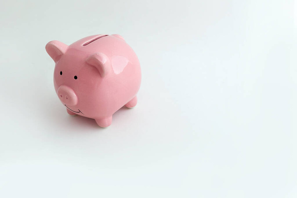Piggy bank in the shape of a pig on an isolated white background - Photo, Image