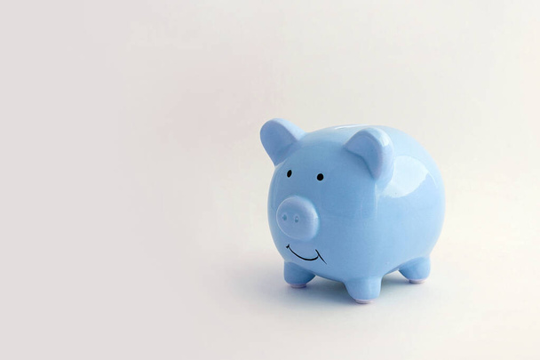 Piggy bank in the shape of a pig on an isolated white background - Foto, Bild