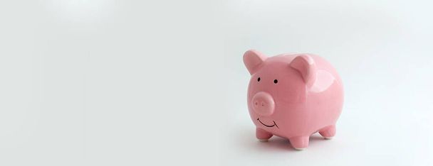 panorama Piggy bank in the shape of a pig on an isolated white background - 写真・画像