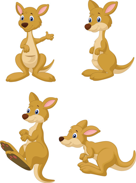 cute cartoon kangoeroe - Vector, afbeelding