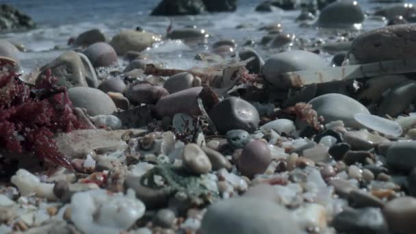 Makromateriał filmowy z mokrych kamieni na brzegu morza - Materiał filmowy, wideo