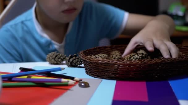 Utalentowany chłopiec trzyma szyszki sosnowe w dłoniach i kolorowe ołówki. Uczenie się online - Materiał filmowy, wideo