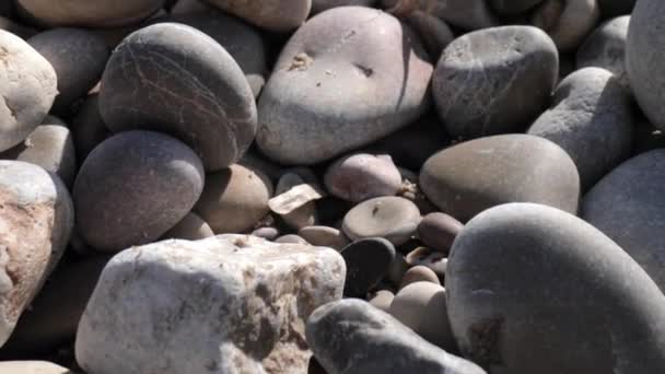 Макропанорама мокрых камней на берегу моря - Кадры, видео