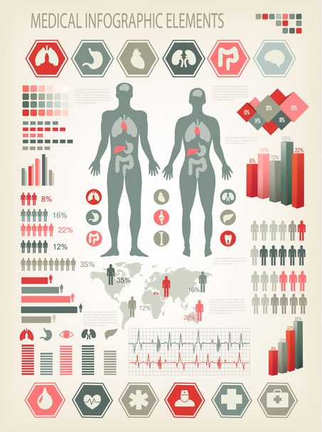 Medical infographics elements. Human body with internal organs.  - Вектор,изображение