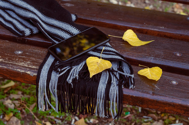 Smartphone, spadlé listí a pruhovaná šála na lavičce v parku. Černé zařízení na hnědé dřevěné lavičce. Žádní lidé. Životní styl - Fotografie, Obrázek