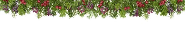 Christmas and New Year Border. Sprigs of spruce decorated with red berries isolated on a white background. Copy space. Frame. - Photo, Image
