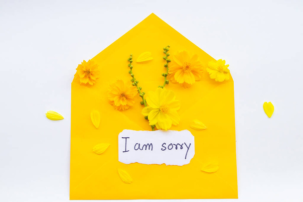 i 'm sorry message card handwriting in yellow envelope with yellow, orange flowers cosmos arrangement flat lay postcard style on background white - Zdjęcie, obraz