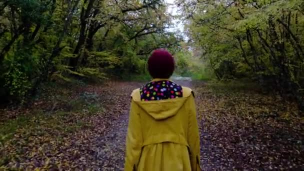Φωτογραφική μηχανή ακολουθεί hipster χιλιετή νεαρή γυναίκα σε κίτρινο σακάκι απολαμβάνοντας δάσος, οι άνθρωποι δάσος έννοια της ελευθερίας - Πλάνα, βίντεο