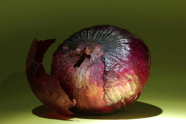  red onion on colorful background - Fotó, kép