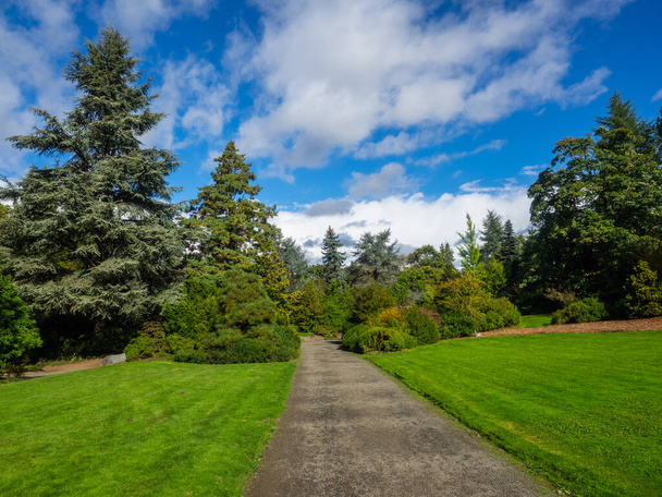 Kubota Garden is een Japanse tuin van 81.000 m ² in de wijk Rainier Beach in Seattle, Washington. Belangrijkste kenmerken van de Kubota tuin zijn het Kubota terras, het Bamboe Grove, de ketting van vijvers, de berghelling,  - Foto, afbeelding