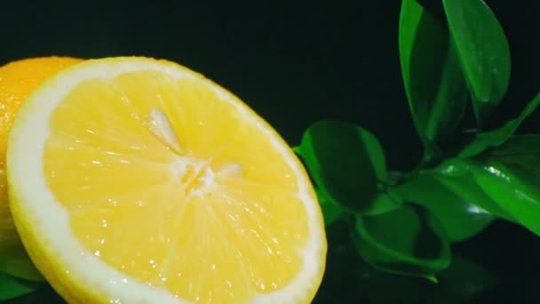 Zoom uit studio shot van geïsoleerde frisse heldere gele citroenen met sappig vlees en zaad op donkere achtergrond - Video