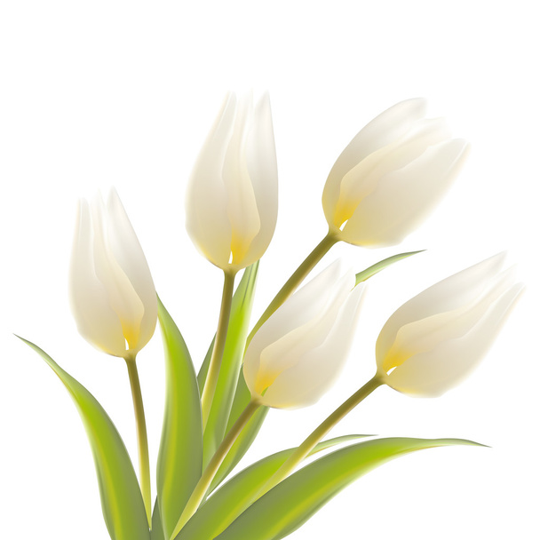 Tulipe, fond floral
. - Vecteur, image
