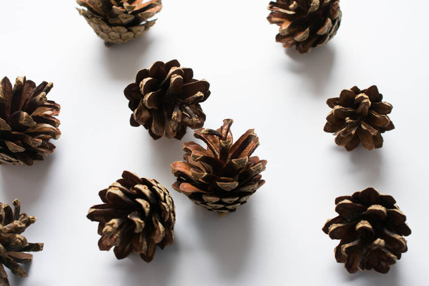 cones on a white background - Photo, Image