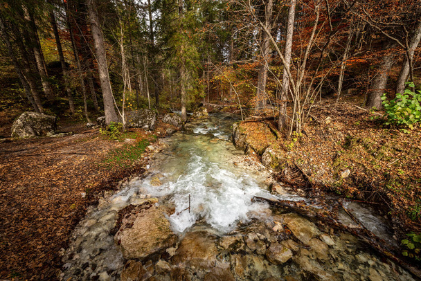Torrente Tresenga, Corriente que fluye desde el Lago Tovel (Lago di Tovel), en los bosques de Trentino-Alto Adigio, Parque Nacional Adamello Brenta, provincia de Trento, Italia, Europa. - Foto, Imagen