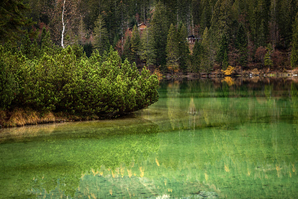 Lago di Tovel), красиве альпійське озеро з лісом восени, Національний парк Адамелло Брента. Trentino Alto Adige, провінція Тренто, Італія, Європа. - Фото, зображення