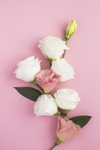 Virágok a rózsaszín háttérben. Függőleges elhelyezkedés. - Fotó, kép