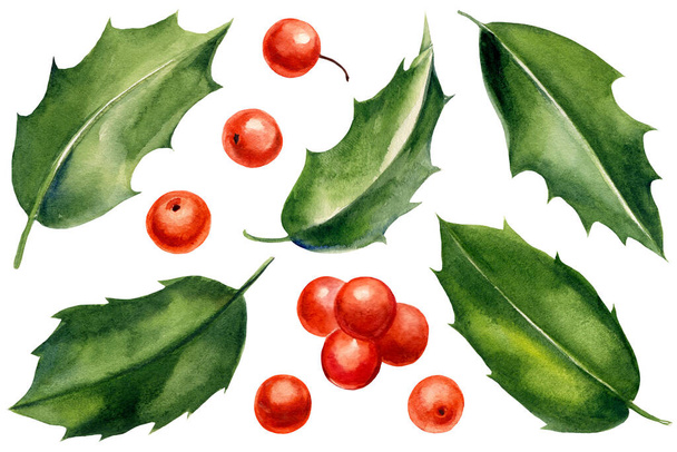 Σύνολο πράσινων φύλλων, ιερά μούρα σε λευκό φόντο, ακουαρέλα βοτανική απεικόνιση. Χριστουγεννιάτικα στοιχεία - Φωτογραφία, εικόνα