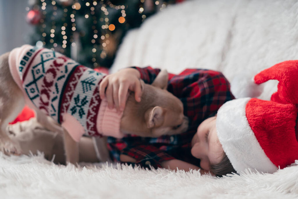 Чихуахуа в свитере лижет маленькое смеющееся детское лицо на диване с одеялом на Рождество. - Фото, изображение