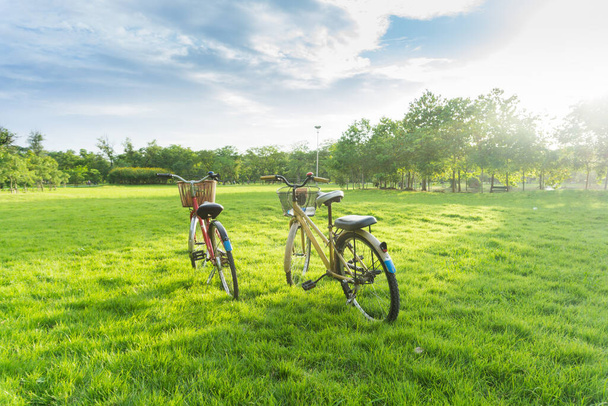 Rower na zielonej trawie w parku publicznym. - Zdjęcie, obraz