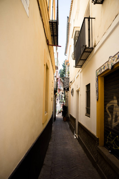 Spain, Seville, Europe,  NARROW ALLEY AMIDST BUILDINGS IN CITY - Foto, afbeelding