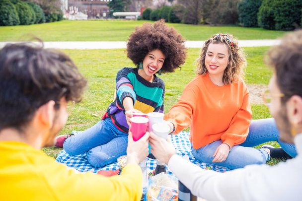 Grupa przyjaciół wieloetniczne toasting o piknik na świeżym powietrzu zabawy świętowanie życia ze szczęściem - Zdjęcie, obraz