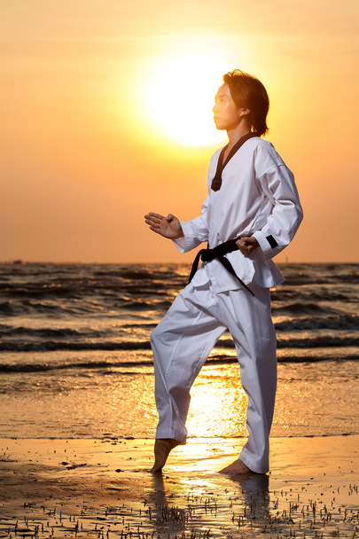 Taekwondo - Zdjęcie, obraz