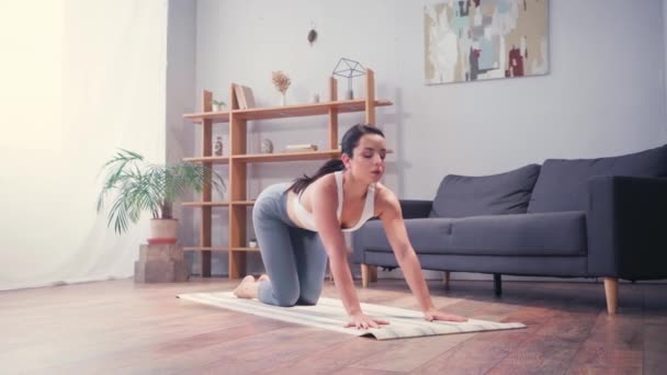 Morena deportista estirándose de nuevo en la alfombra de fitness en casa  - Metraje, vídeo